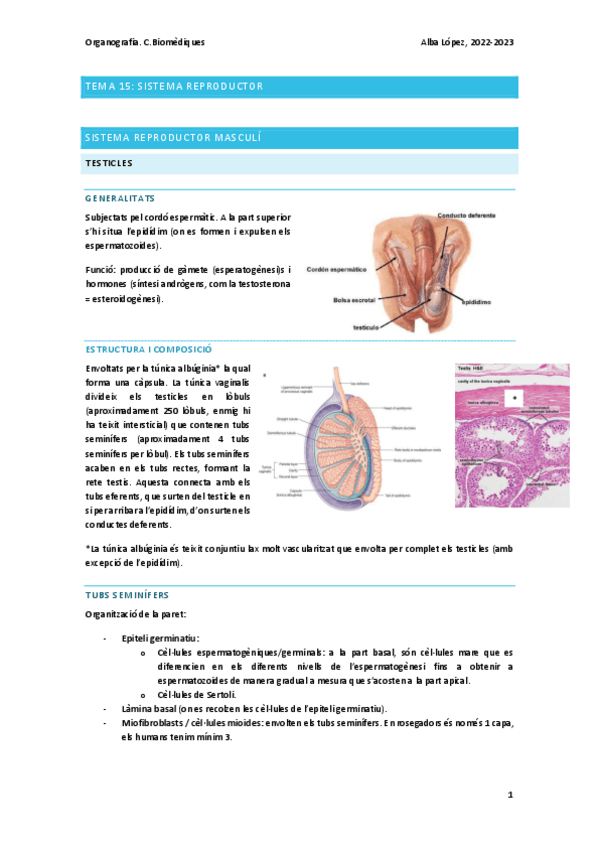 Miniatura del documento Tema-15-sistema-reproductor.pdf