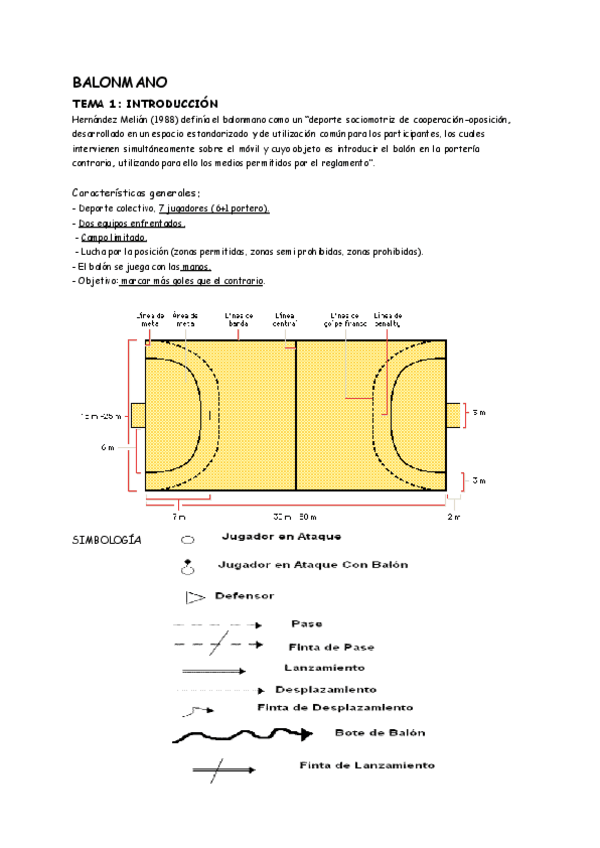 Miniatura del documento RESUMEN-BALONMANO-TEMA-1-Y-2.pdf