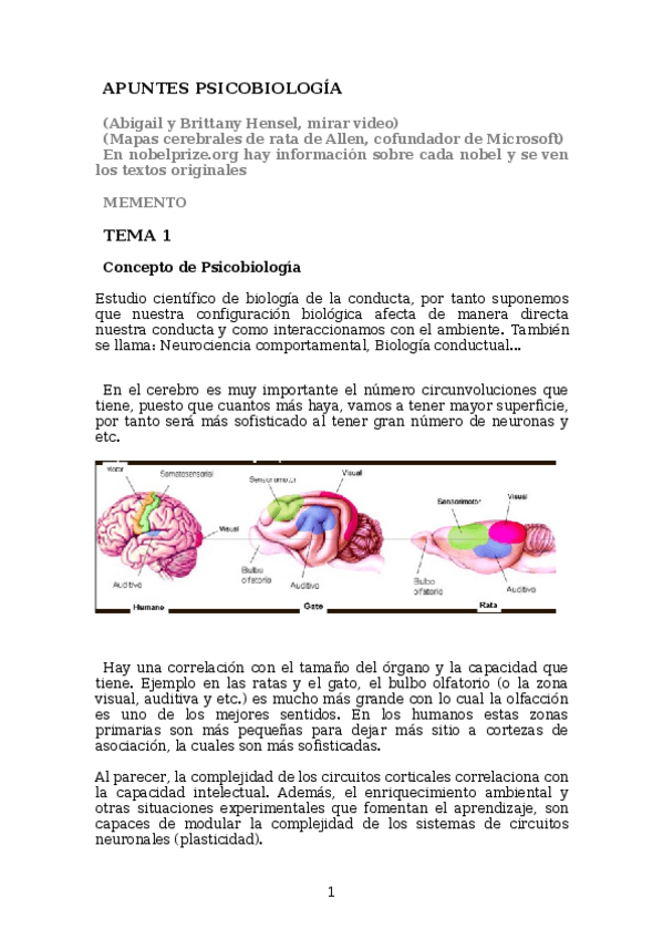 Miniatura del documento AP TEMA 1.docx