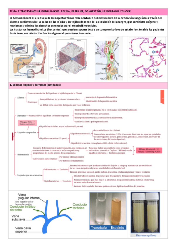 Miniatura del documento TEMA-3.-Trastornos-hemodinamicos-1.pdf