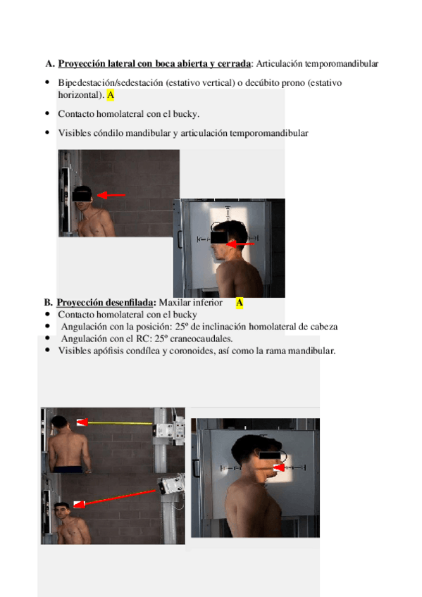 Miniatura del documento UF-2-VID-5-CUELLO-Y-OTRAS-PARTES-DE-LA-CABEZA.docx