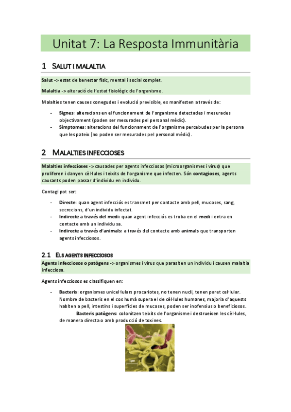 Miniatura del documento Apunts-Unitat 7: La resposta immunitària.pdf