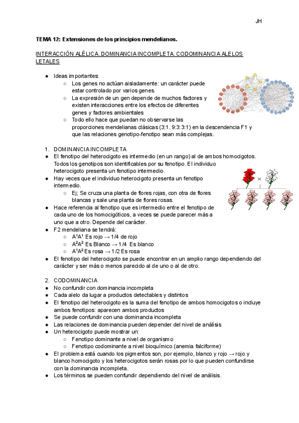 Miniatura del documento TEMA-12-Extensiones-de-los-principios-mendelianos-1.pdf