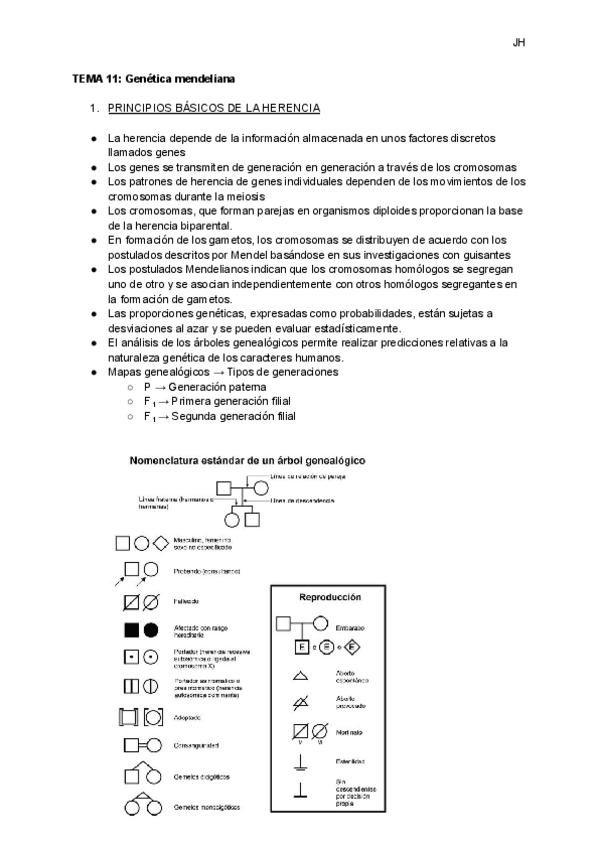 Miniatura del documento TEMA-11-Genetica-mendeliana-1.pdf