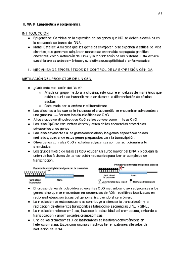 Miniatura del documento TEMA-8-Epigenetica-y-epigenomica-1.pdf
