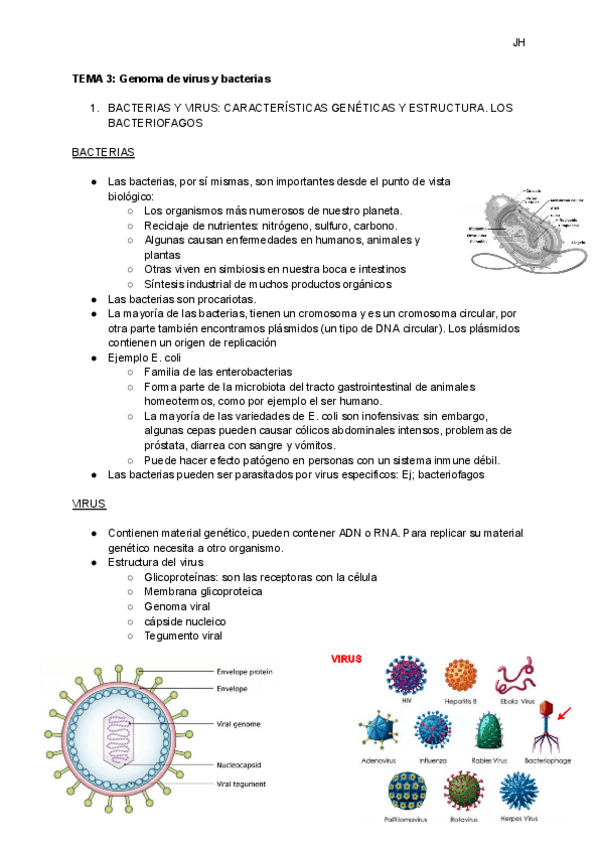 Miniatura del documento TEMA-3-Genoma-de-virus-y-bacterias.pdf