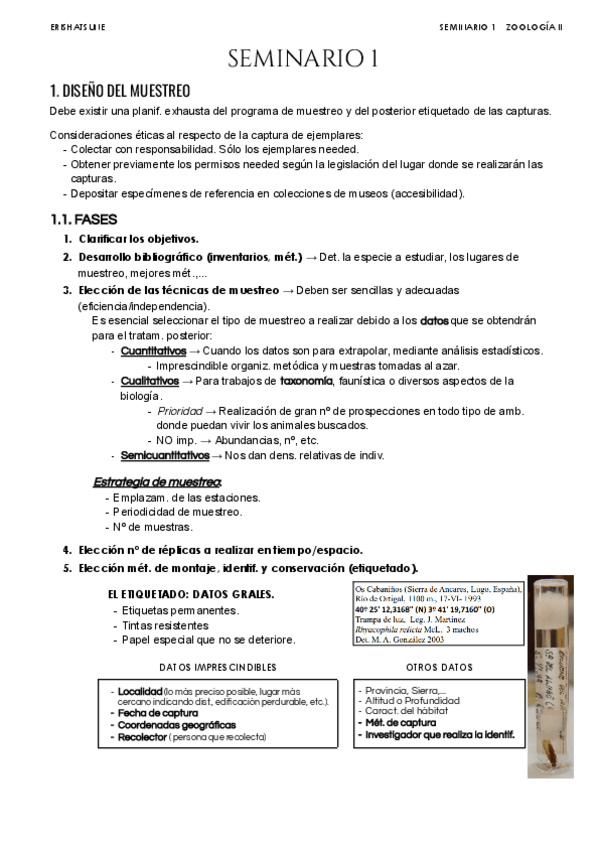 Miniatura del documento Seminario-1.pdf