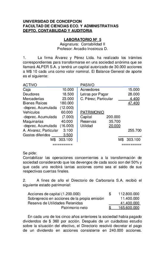 Miniatura del documento Laboratorio5Patrimoniodesociedadanonima2.doc