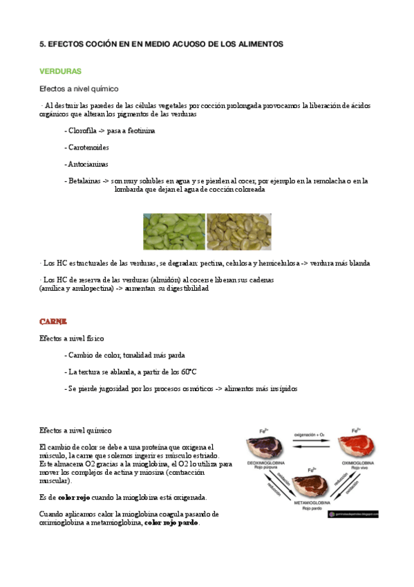 Miniatura del documento Tema-6.3.pdf