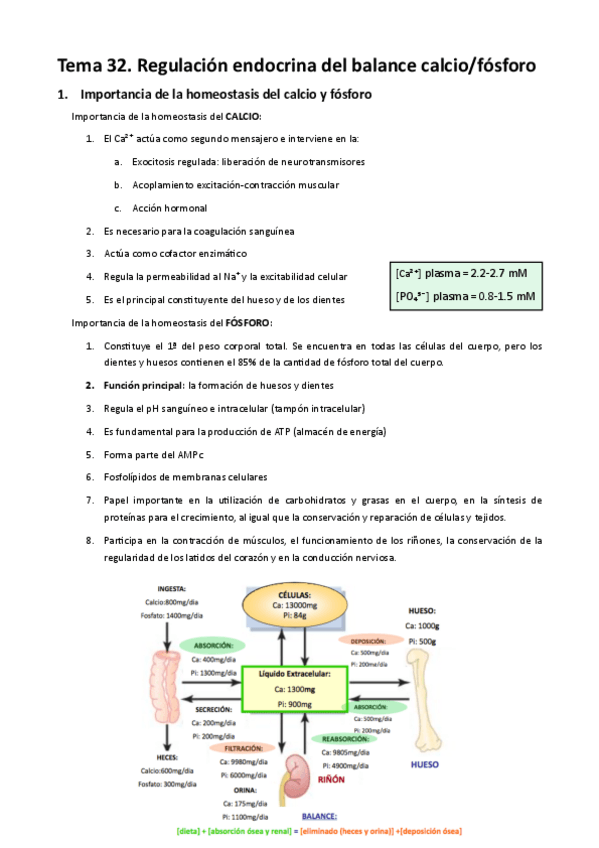 Miniatura del documento MT32. Regulación endocrina del balance calcio:fósforo.pdf