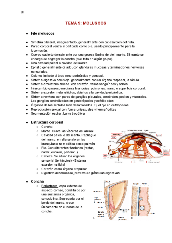 Miniatura del documento TEMA-9-Moluscos.pdf