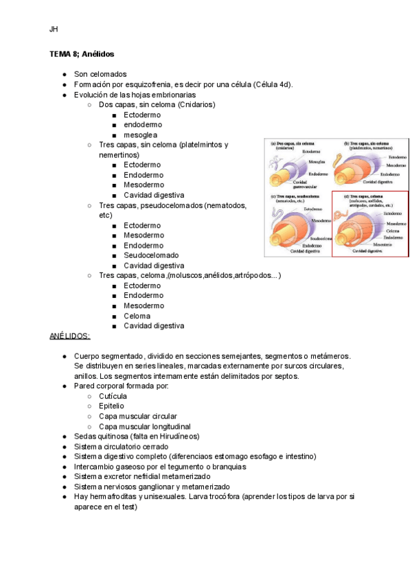 Miniatura del documento TEMA-8-Celomados.pdf