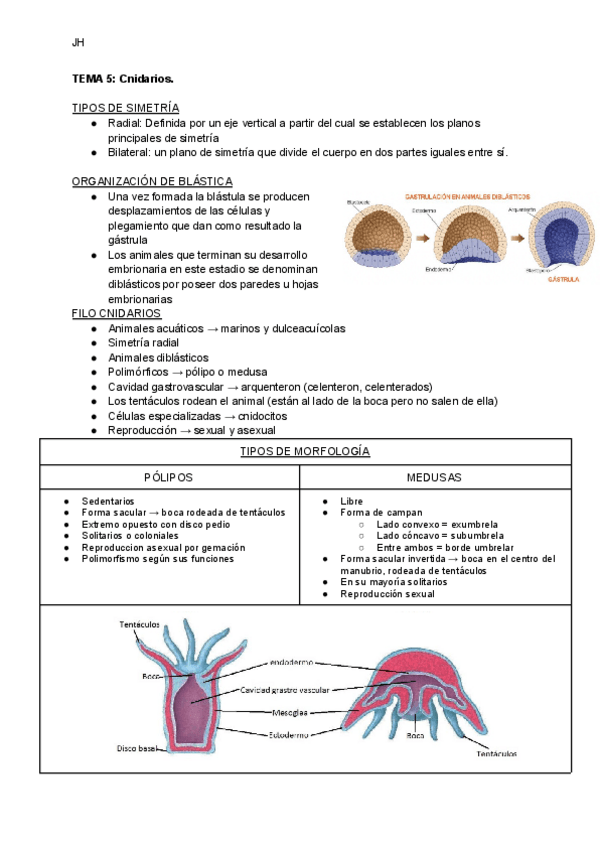 Miniatura del documento TEMA-5-Cnidarios.pdf