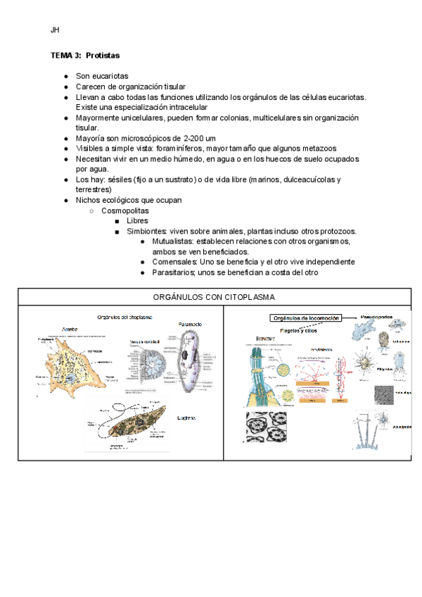 Miniatura del documento TEMA-3-Protistas.pdf