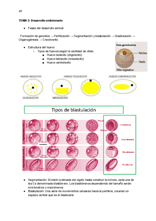 Miniatura del documento TEMA-2-Desarollo-embrionario.pdf