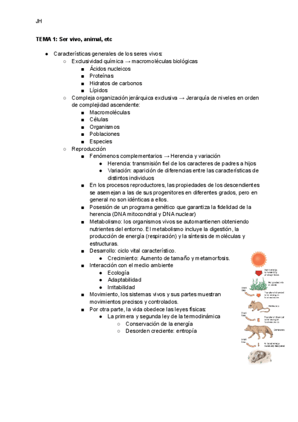 Miniatura del documento TEMA-1-Ser-vivo-animal-etc.pdf