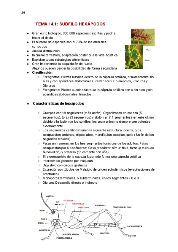 Miniatura del documento TEMA-14.pdf
