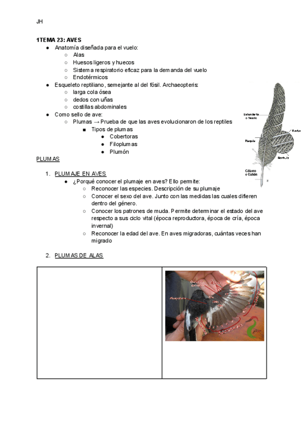 Miniatura del documento TEMA-23-AVES.pdf