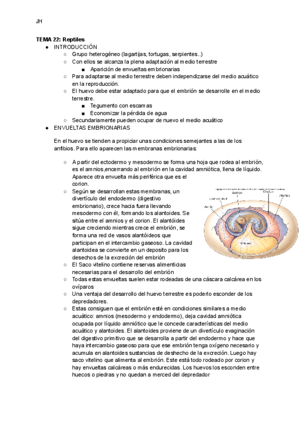 Miniatura del documento TEMA-22-REPTILES.pdf
