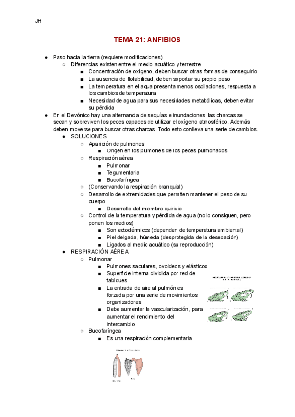 Miniatura del documento TEMA-21-ANFIBIOS.pdf