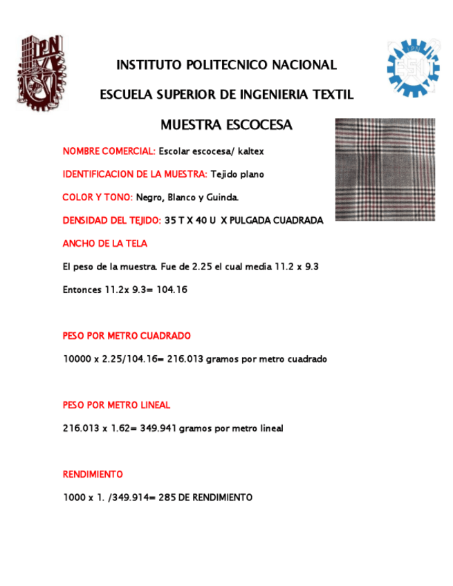 Miniatura del documento Analisis-de-tejido-ESCOCESA.pdf