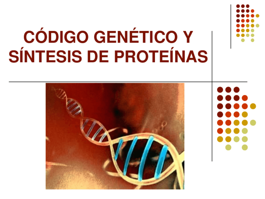 Miniatura del documento 4.2-Codigo-genetico-y-sintesis-de-proteinas-PRISCILA.pdf