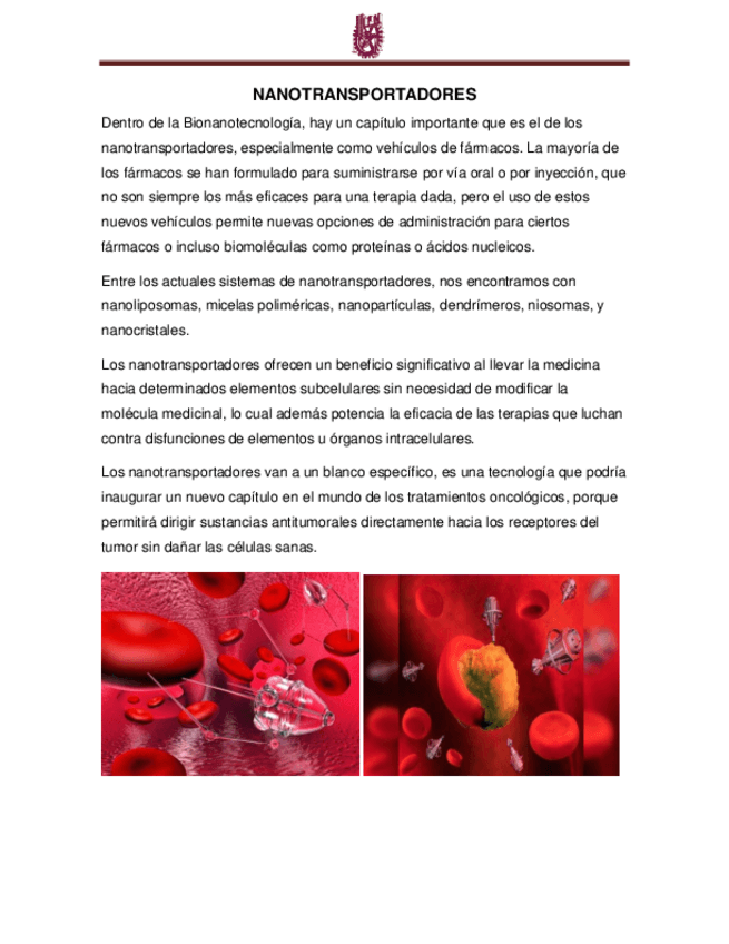 Miniatura del documento NANOTRANSPORTADORES.pdf