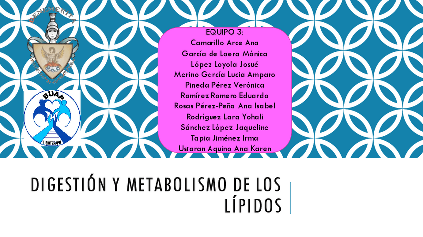 Miniatura del documento Lipidos.pdf