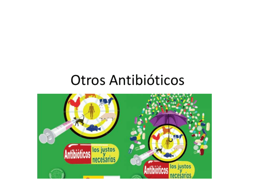 Miniatura del documento 11.-Otros-antibioticos.pdf