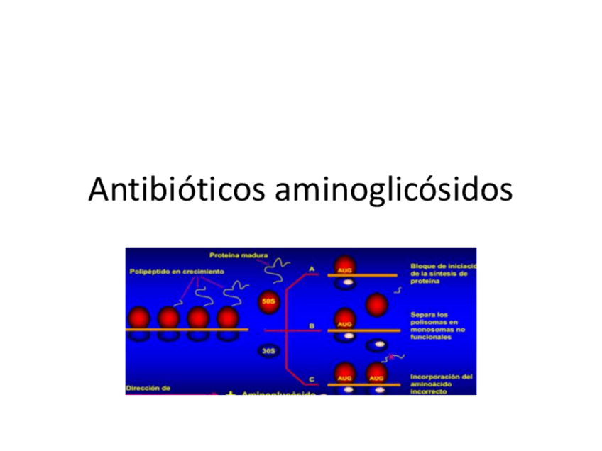 Miniatura del documento 10.-Antibioticos-aminoglicosidos.pdf