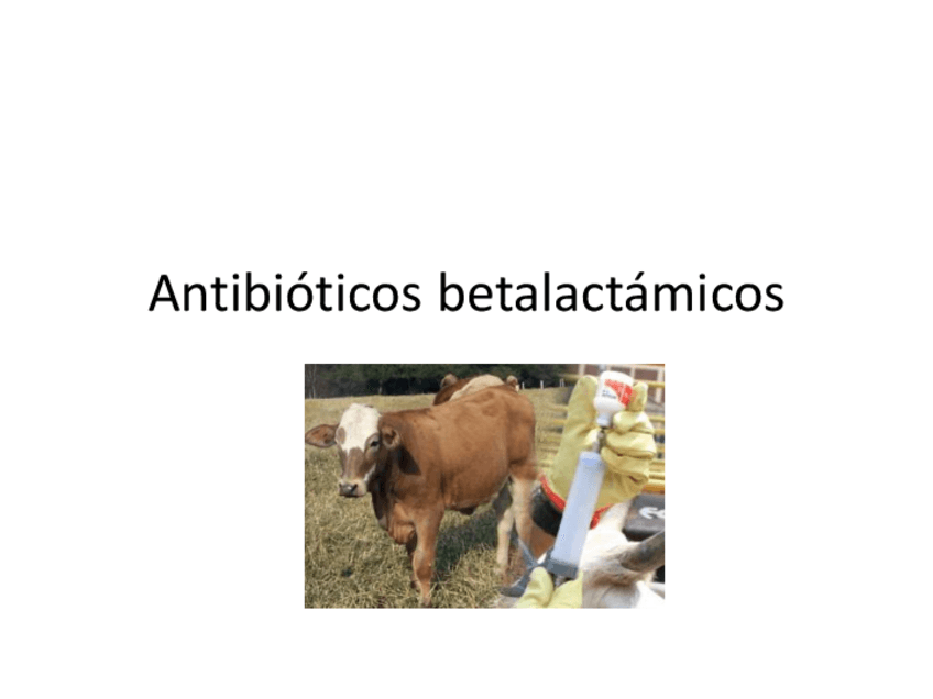 Miniatura del documento 09.-Antibioticos-betalactamicos.pdf