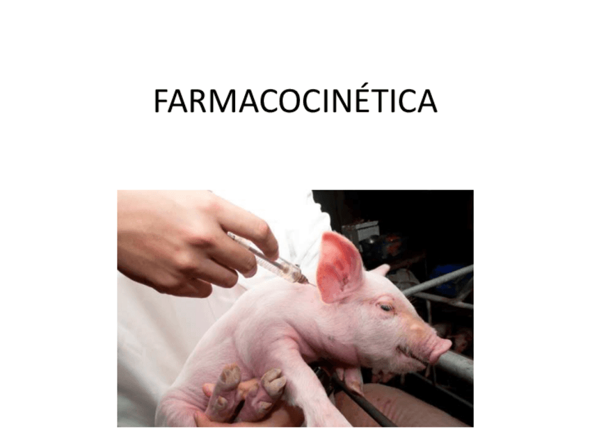 Miniatura del documento 05.-Farmacocinetica.pdf