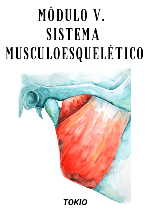 Miniatura del documento MODULO-V.-FRACTURAS.pdf