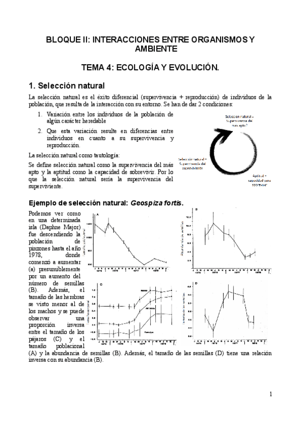 Miniatura del documento Bloque-II.pdf