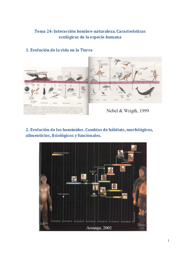 Miniatura del documento Bloque-VI.pdf