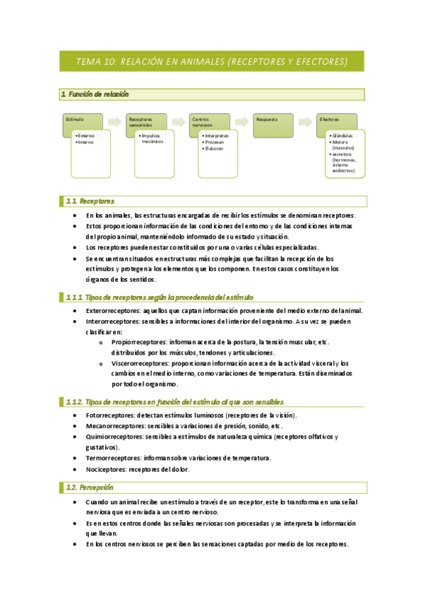 Miniatura del documento Tema 10: Relación en animales (receptores y efectores).pdf