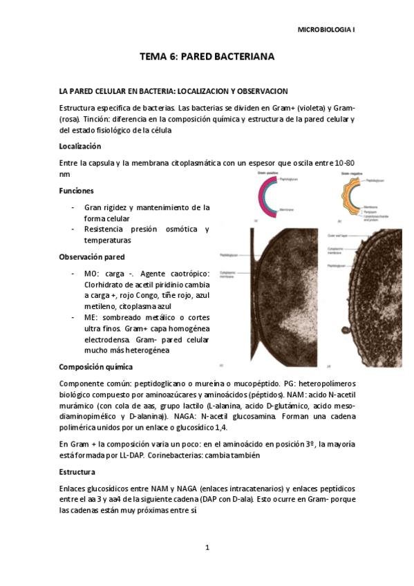 Miniatura del documento TEMA 6 MICRO I.pdf