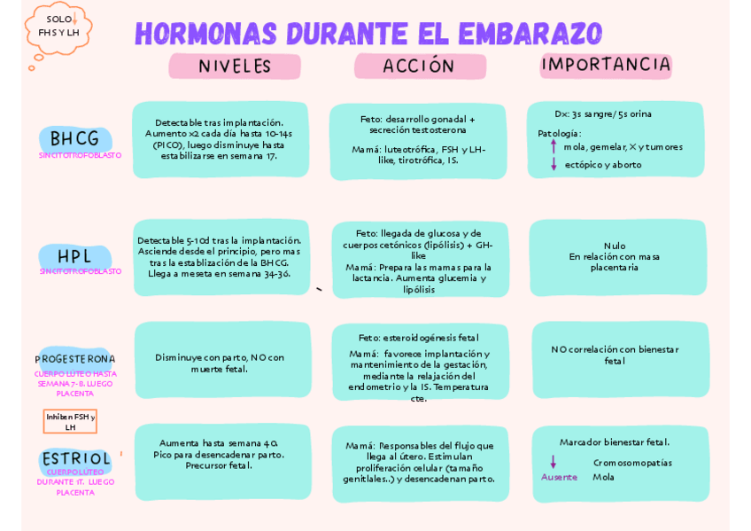 Miniatura del documento Hormonas-embarazo.pdf