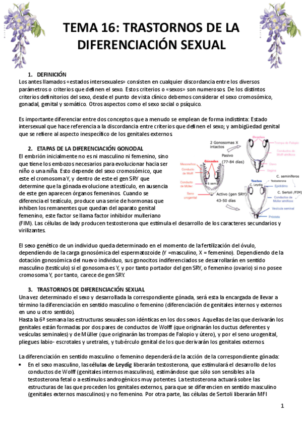 Miniatura del documento TEMA-16.pdf