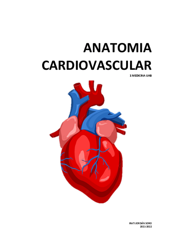 Miniatura del documento cardiovascular-anato.pdf