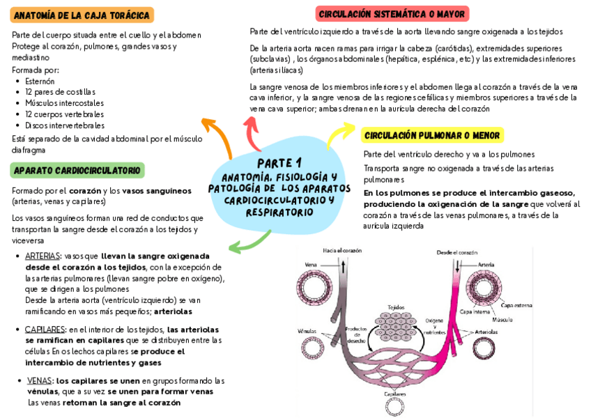 Miniatura del documento ESQUEMA-UF4.pdf