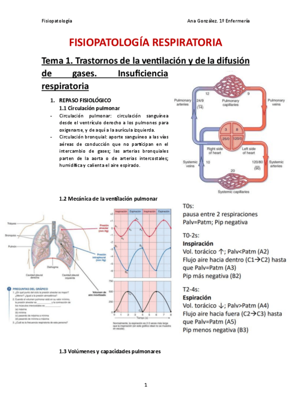 Miniatura del documento Fisiopatologia-del-Sistema-Respiratorio.pdf