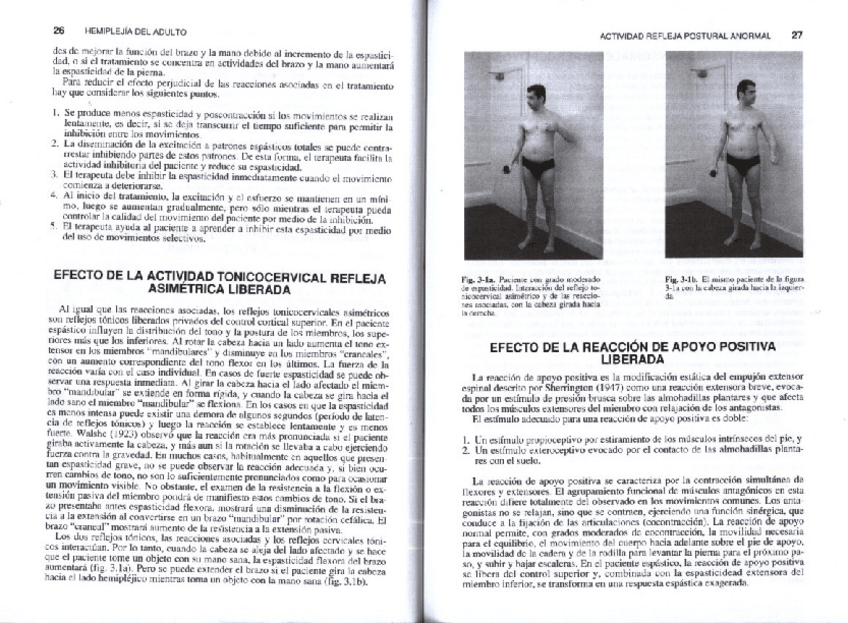 Miniatura del documento S-bobathhemiplejiadeladulto-2.pdf