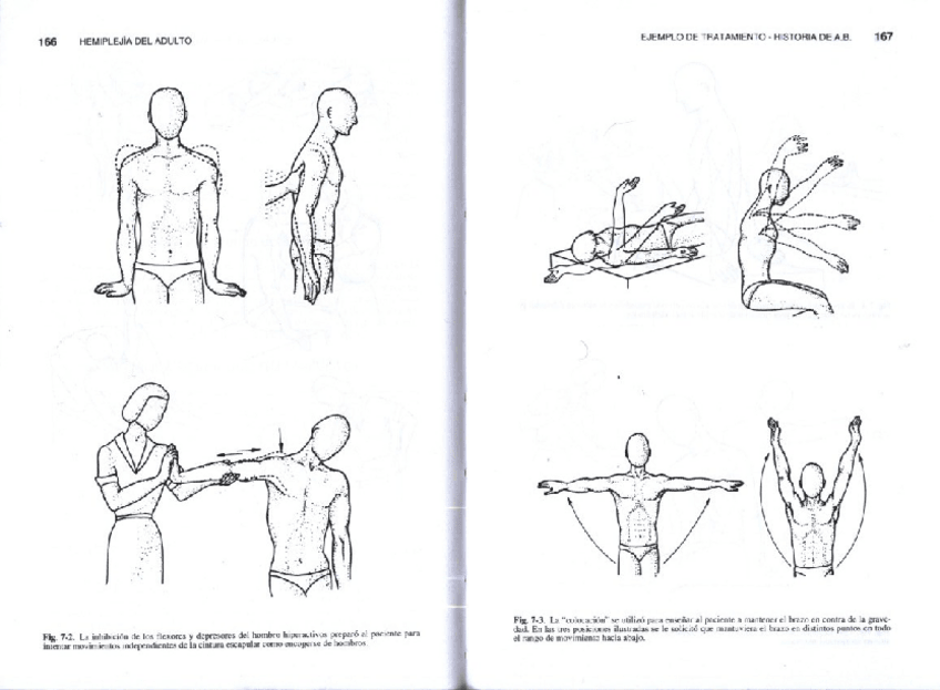 Miniatura del documento S-bobathhemiplejiadeladulto-7.pdf