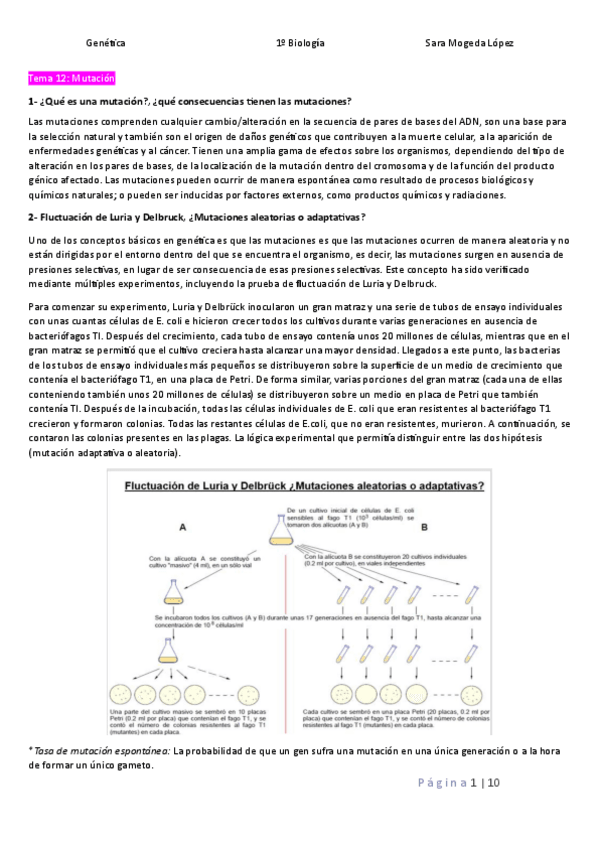 Miniatura del documento Tema-12-Genetica-Molecular.pdf