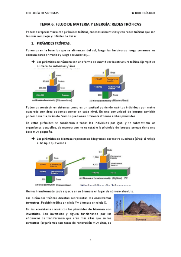 Miniatura del documento TEMA-6.-FLUJO-DE-MATERIA-Y-ENERGIA.pdf