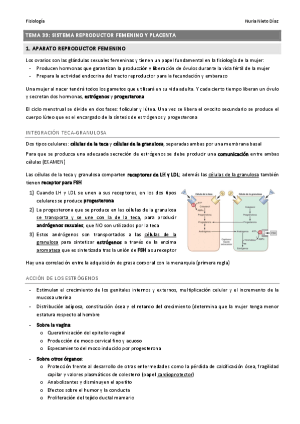 Miniatura del documento TEMA 39 - Sistema reproductor femenino y placenta.pdf