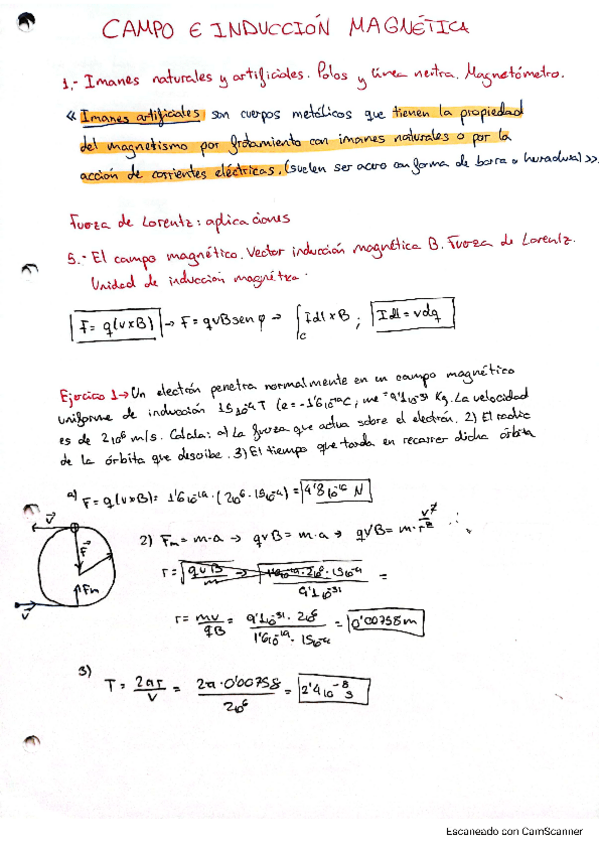 Miniatura del documento campo-magnetico.pdf