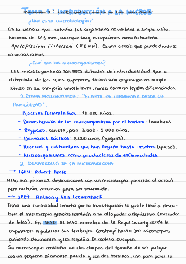 Miniatura del documento TEMA-1-HISTORIA.pdf