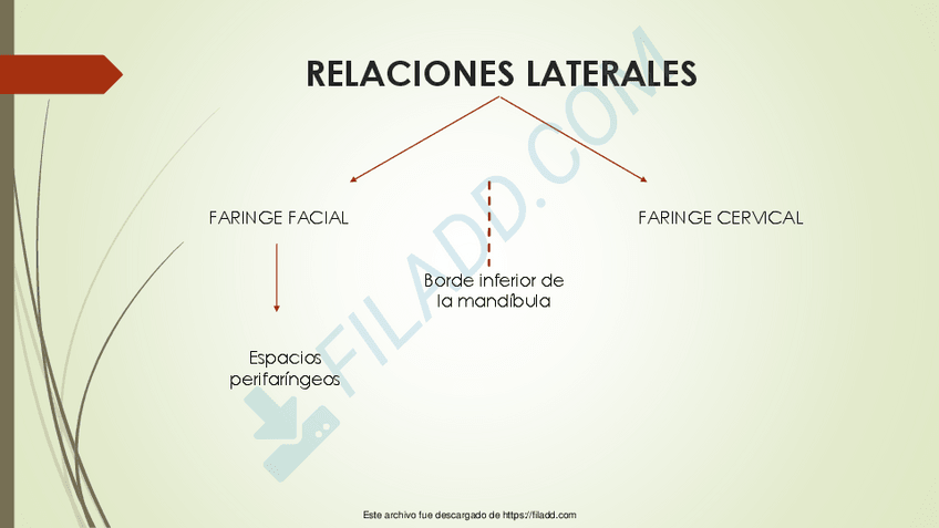Miniatura del documento FARINGE2-1.pdf